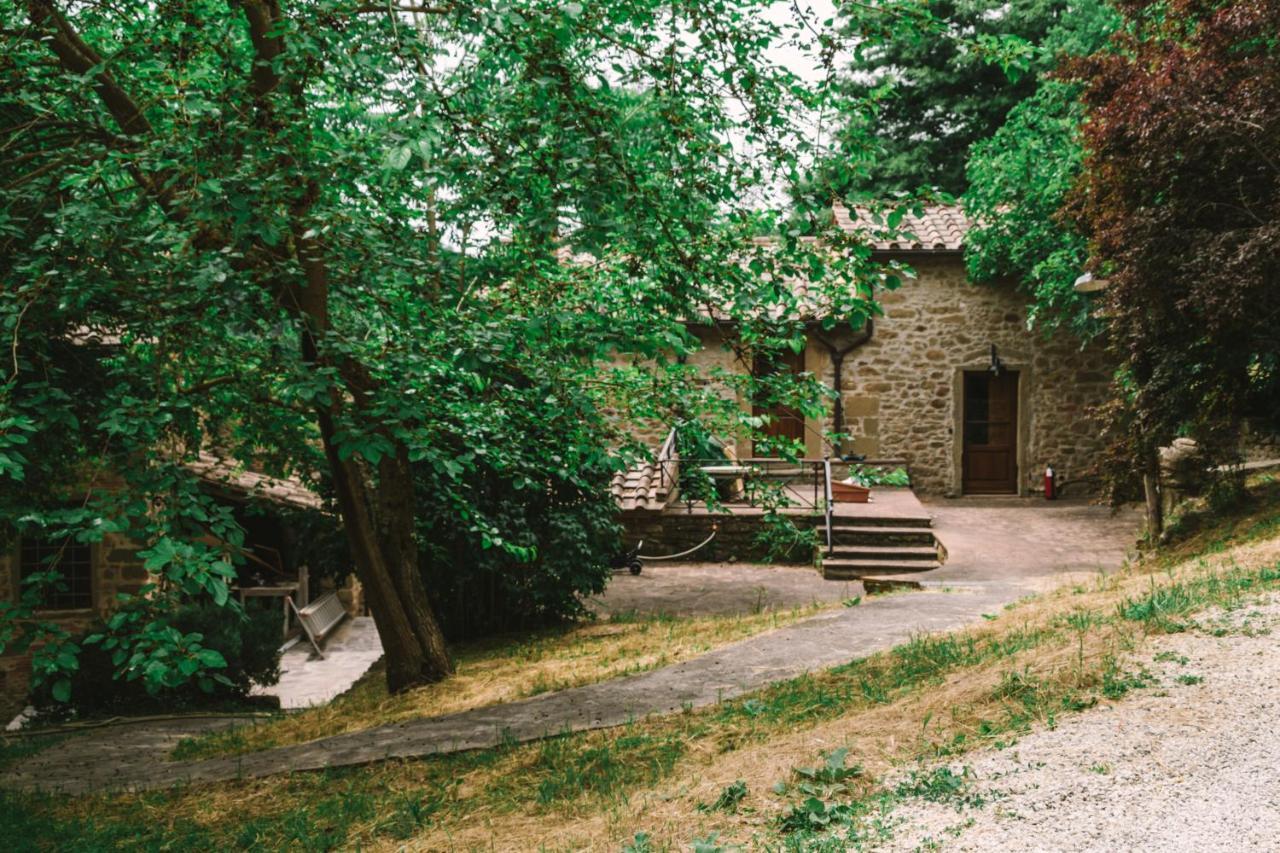 Parulia Arezzo