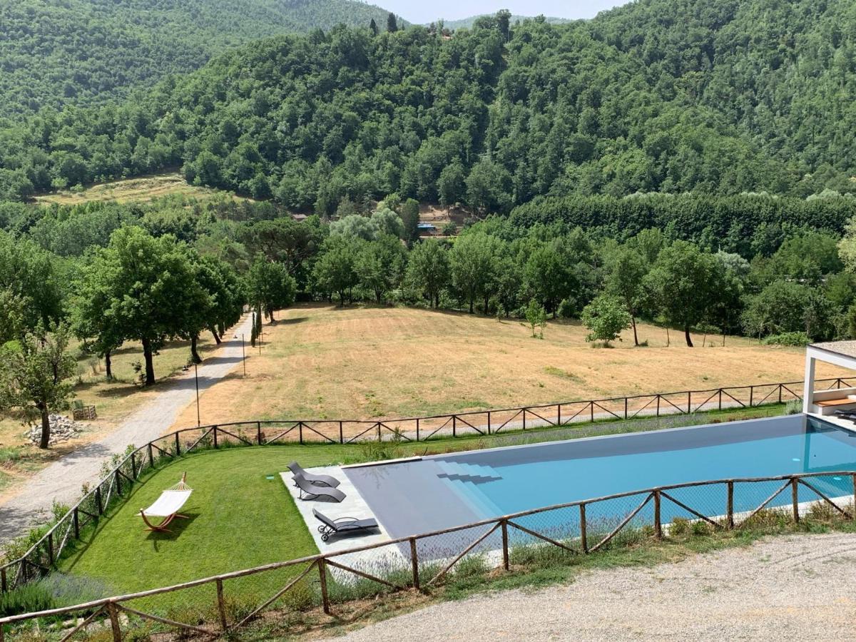 Parulia