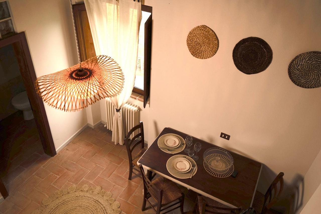 Parulia * Arezzo