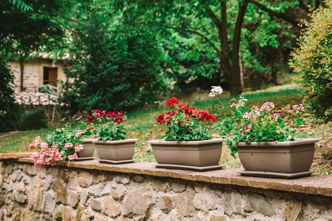 Agroturismo Parulia Arezzo