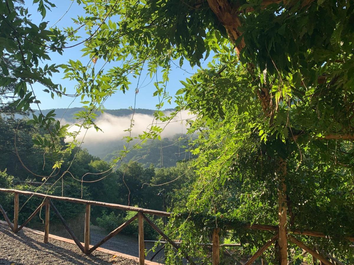 Alojamento de Turismo Rural Parulia