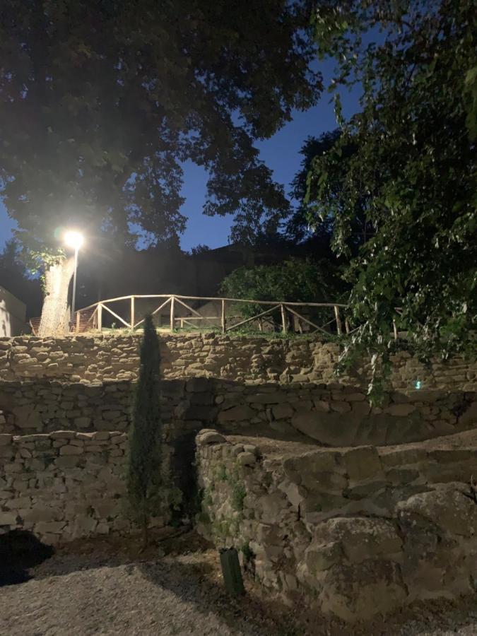 Parulia Arezzo