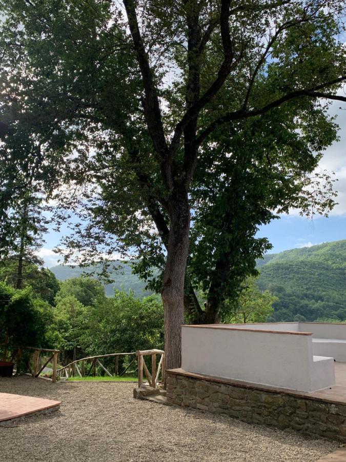 Parulia Country House * Arezzo